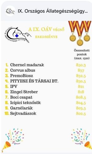 4. helyen döntőben a 11.m csapata